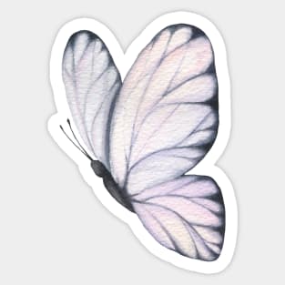 Watercolor Butterfly Sticker